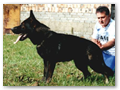 Sima vom Sch�ferliesel